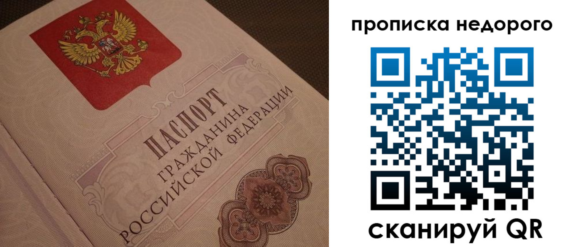 прописка поиск в Новотроицке